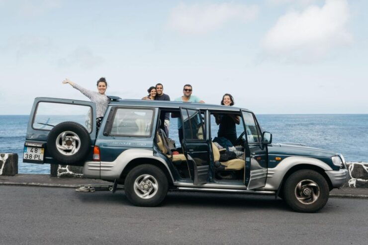 Pico Island: Half Day Private Wine Tour - Activity Description