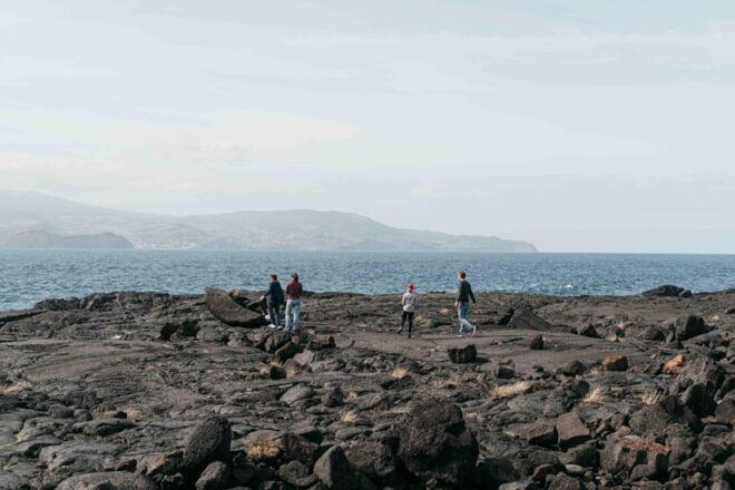 Pico Island: Half Day Private Wine Tour - Important Information
