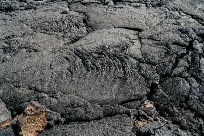 Pico Island: Half Day Private Wine Tour - Additional Information