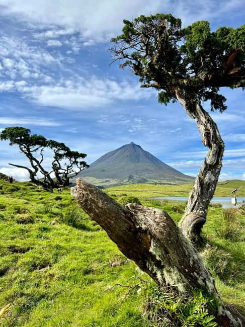 Pico island: highlights, wine tasting and local gastronomy - Discovering Pico Island: Nature, Culture, and Flavor
