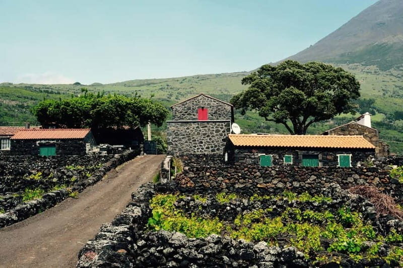 Pico island: highlights, wine tasting and local gastronomy - FAQ