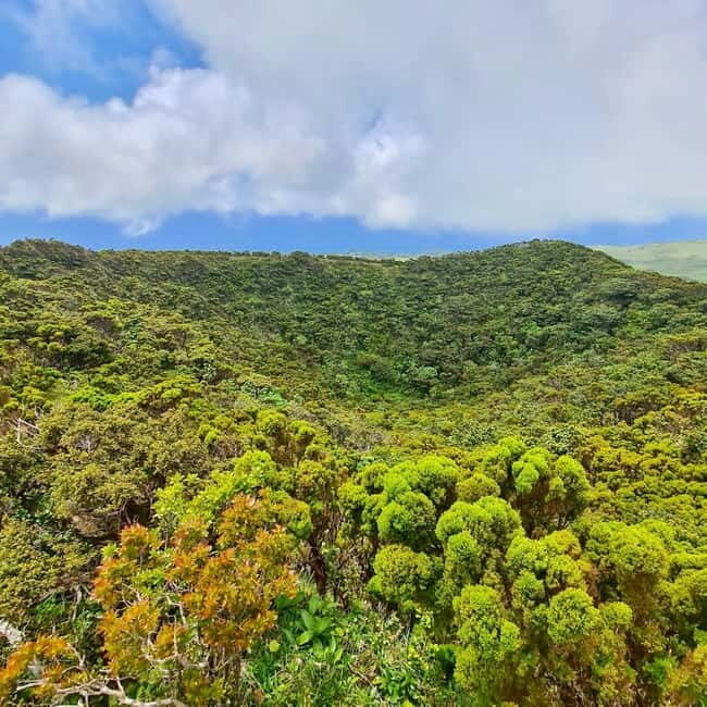 Pico Island: Lagoons and Mysterious Lava Tunnels Guided Tour - The Sum Up: Is This Tour Right for You?