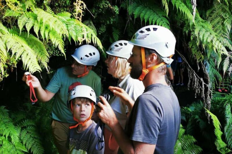 Pico Island: Private Highlights Tour - Introduction