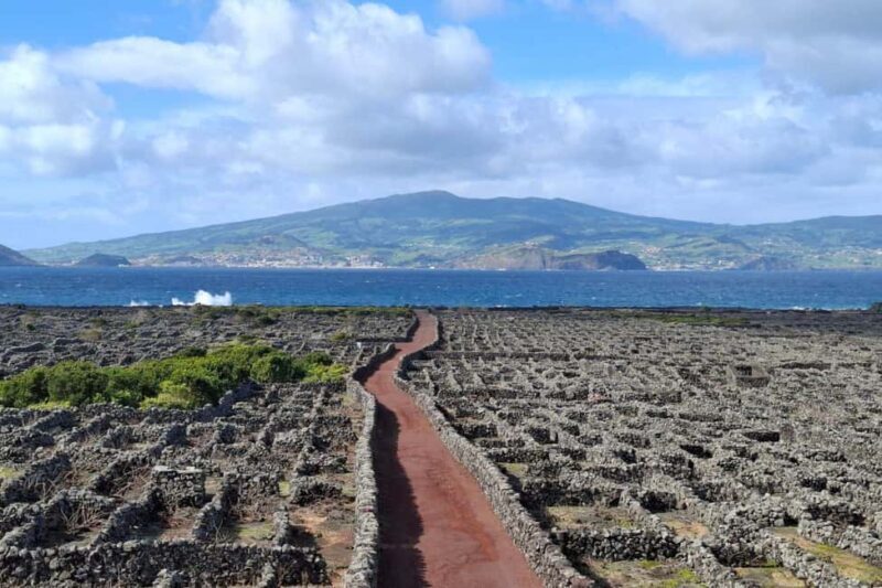 Pico Island: Private Highlights Tour - A Detailed Look at the Pico Island Highlights Tour