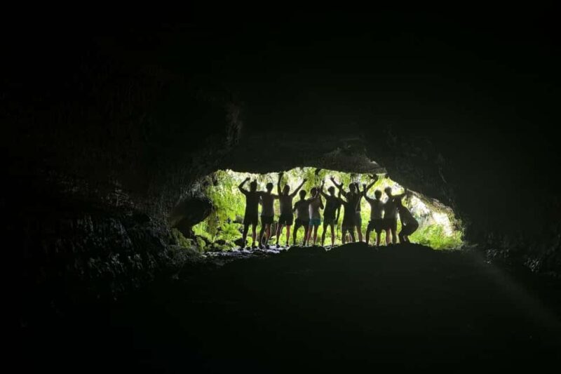 Pico Island: Private Highlights Tour - Who This Tour Is Perfect For