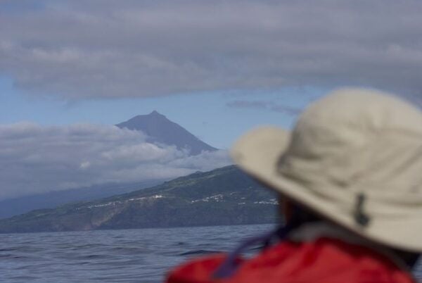 Pico Island: Whale Watching Boat Tour With Biologist Guides - Review Summary and Additional Information