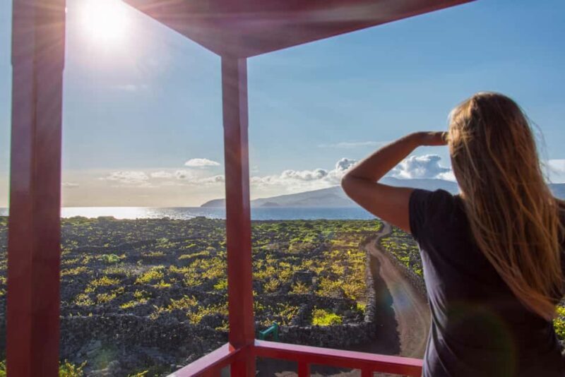 Pico Island: Wine and Vineyards Tour with Tasting - Introduction to Pico’s Wine Heritage