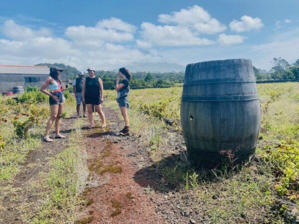 Pico Island: Wine Tasting, Independent Producers & Culture - Frequently Asked Questions