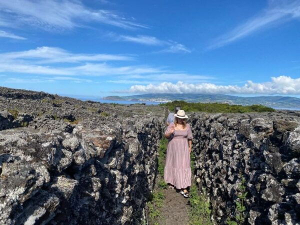 Pico Island: Wine Tasting, Independent Producers & Culture - The Sum Up