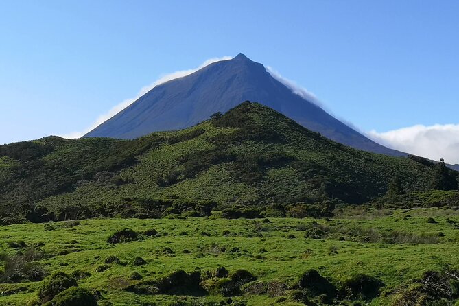 Pico Private Full-Day Tour  - Faial Island - Tour Logistics