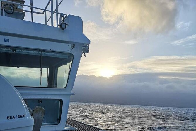 Pico Private Full-Day Tour  - Faial Island - Reviews and Ratings