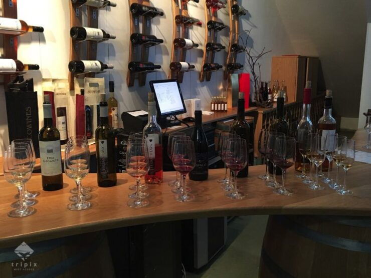 Pico Wine Tour: Get to Know Pico's Wines - Wine Culture Insights