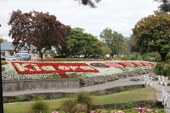 Picton & Blenheim Scenic Tour - Authentic Experiences Based on Reviews