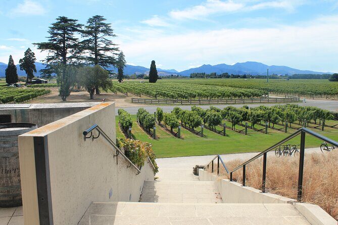 Picton & Blenheim Scenic Tour - Who Should Consider This Tour?