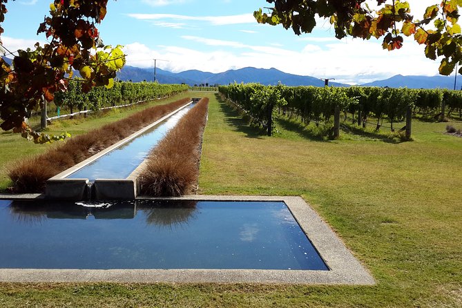 Picton CRUISE SHIP Shore Excursion Marlborough Wine Tour - Positive Reviews