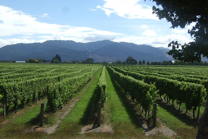 Picton CRUISE SHIP Shore Excursion Marlborough Wine Tour - Common Questions
