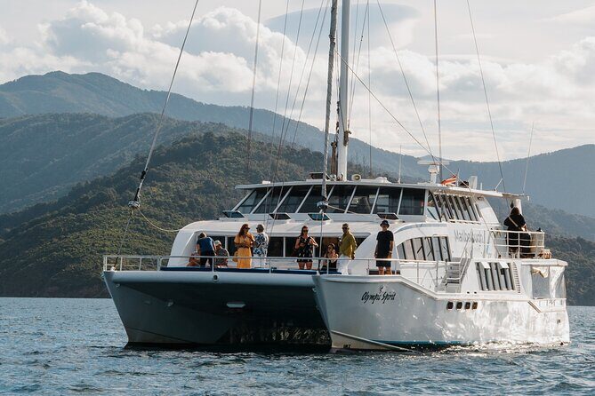 Picton Morning Guided Kayak with Afternoon Boat Cruise Tour - The Sum Up: Who Will Love This Tour?