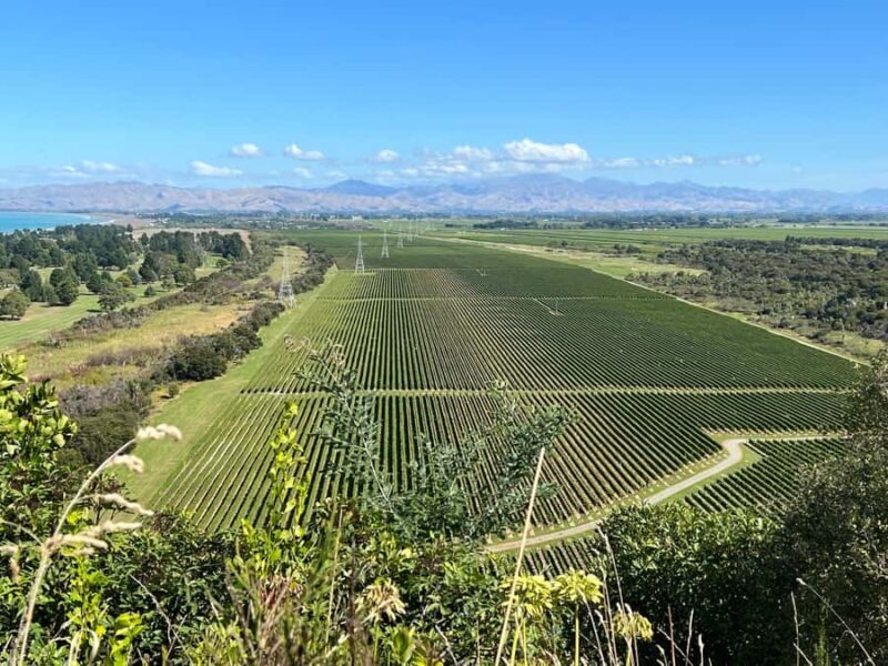 Picton: Private onshore cruise tour scenic, wine, gourmet - Good To Know