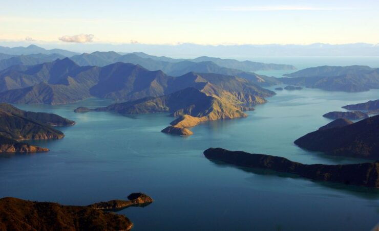 Picton: Queen Charlotte Sounds Sightseeing Cruise - Experience