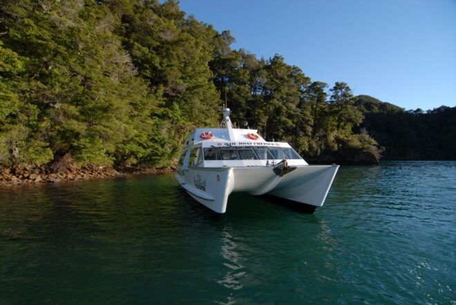 Picton: Queen Charlotte Sounds Sightseeing Cruise - Departure and Route