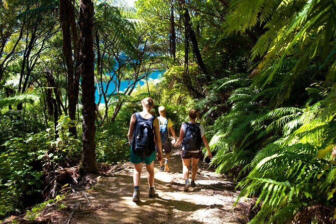 Picton Shore Excursion Kaipupu Sanctuary Water Taxi - Exploring Picton’s Hidden Gem: The Kaipupu Sanctuary Water Taxi Tour