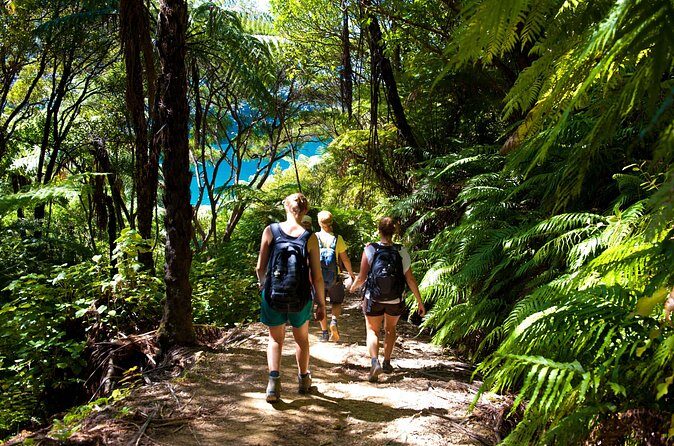 Picton Shore Excursion Kaipupu Sanctuary Water Taxi - Why Choose the Kaipupu Sanctuary Water Taxi Tour?