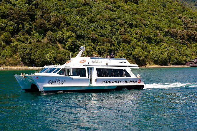 Picton Shore Excursion Kaipupu Sanctuary Water Taxi - Authentic Reviews & Hidden Details