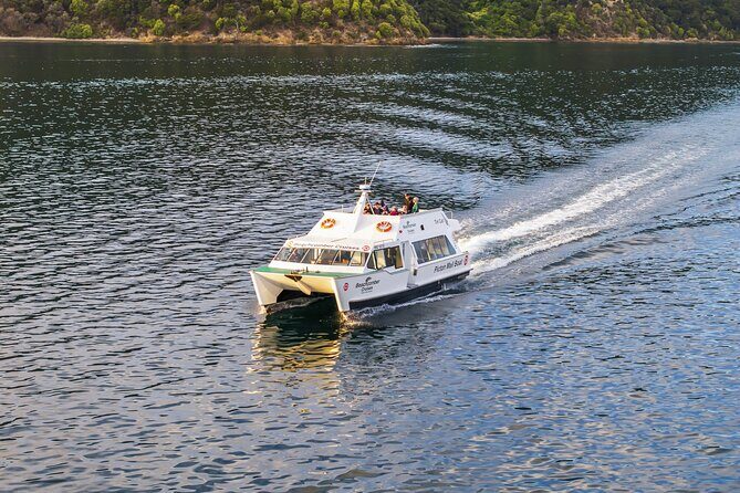 Picton Shore Excursion Queen Charlotte Sound Cruise - How It Compares