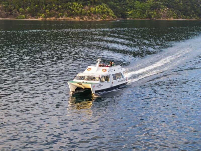 Picton Shore Excursion: Queen Charlotte Sounds Cruise - Overview of the Experience  