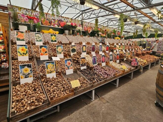 Picture Perfect Amsterdam: A Photo Tour Experience - Unique Experiences