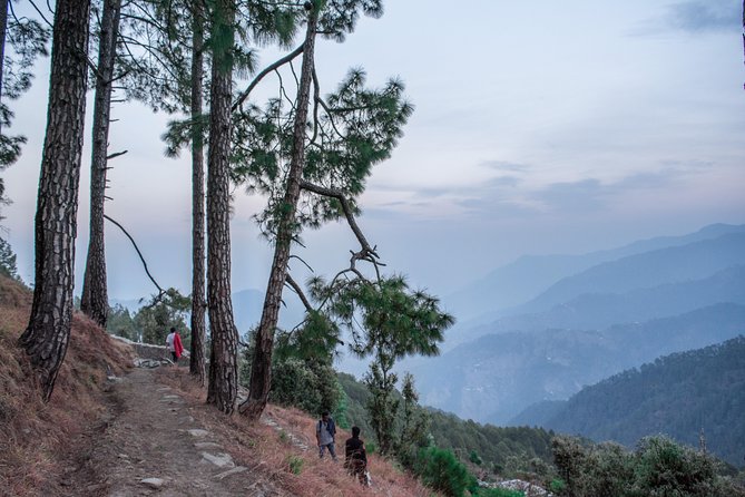Picturesque Binsar With Trekking in Himalayas - Pickup Information