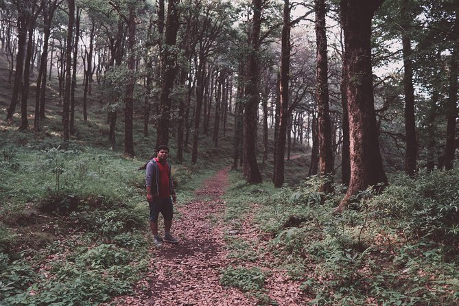 Picturesque Binsar With Trekking in Himalayas - The Sum Up