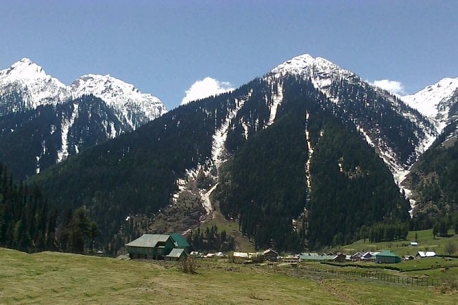 Picturesque Pahalgam: a Memorable Day Trip From Srinagar - Customer Testimonials