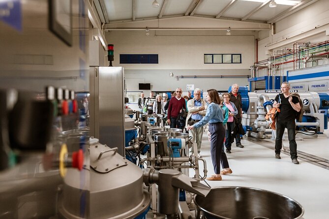 Picualia, Visit the Oil Mill & EVOO Tasting - Tour Highlights