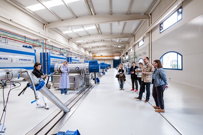 Picualia, Visit the Oil Mill & EVOO Tasting - Oil Mill Visit