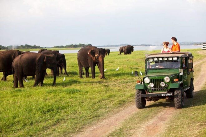 Pidurangala Rock: Private Day Tour From Colombo - What to Expect at Pidurangala