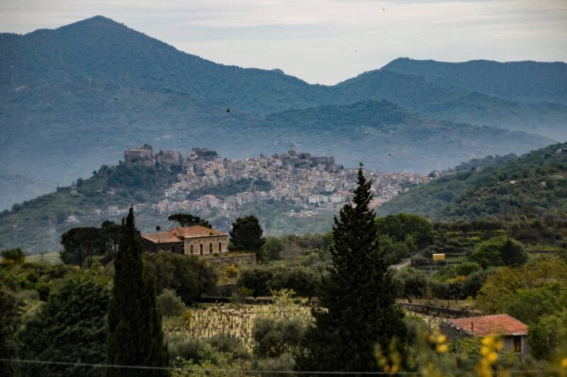 Piedimonte Etneo: Etna Wine Train Tour & Sicily Wine tasting - Good To Know