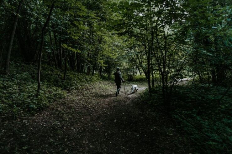 Piedmont: Private Truffle Hunting Tour With Truffle Tasting - Activity Details