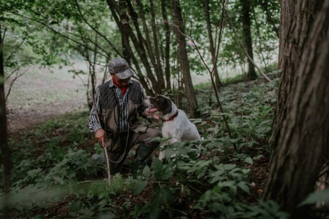 Piedmont: Private Truffle Hunting Tour With Truffle Tasting - Location and Identification