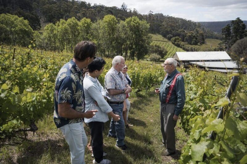 Piedmont Private Wine and Food Tour with Tastings - Exploring the Itinerary: What You Can Expect