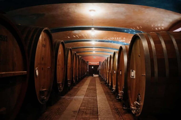 Piedmont Private Wine Tour with Photography. Lunch inclusive - Final Thoughts