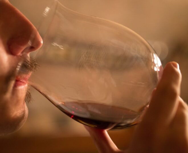 Piedmont: Truffle Hunting and Winery Tour With Tasting - Review Summary