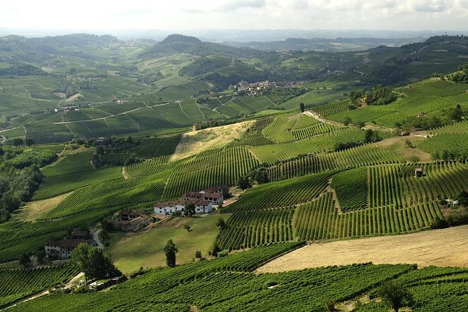 Piemonte Vineyards by Yourself From Turin - Business Car With English Chauffeur - Directions for Piemonte Vineyards