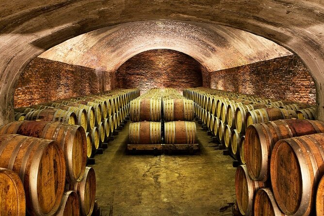 Piemonte Vineyards by Yourself From Turin - Business Car With English Chauffeur - Recommended Vineyards to Visit