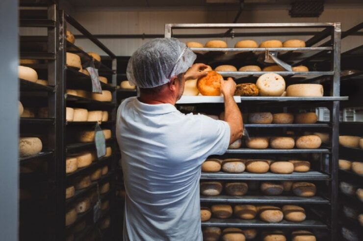 Pienza: Dairy Farm Tour With Pecorino Cheese Tasting - Booking Details
