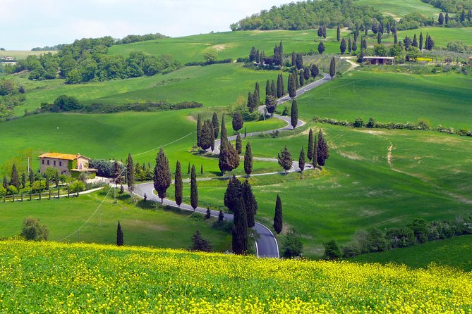 Pienza, Montalcino, Brunello Wine and Pecorino Cheese PRIVATE TOUR From FLORENCE - Inclusions