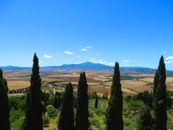 Pienza: Private Walking Tour With Tuscan Tasting Experience - The Sum Up