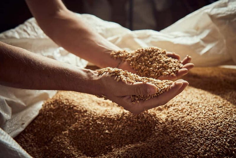 Pienza: tour of the mill with oil and wine tasting - A Closer Look at the Itinerary