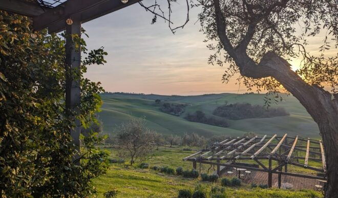 Pienza: Tuscan Cooking Class of Homemade Pastas and Cantucci - Hands-On Cooking