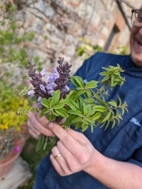 Pienza: Typical Gourmet Lunch at Ancient Tuscan Farmhouse - Good To Know